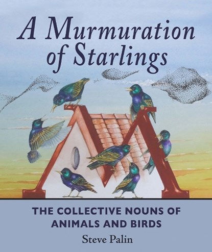 A Murmuration of Starlings, Steve Palin - Gebonden - 9781906122546