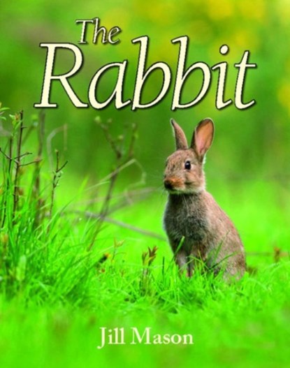 The Rabbit, Jill Mason - Gebonden - 9781906122980