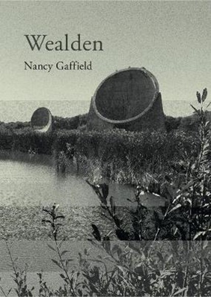 Wealden, Nancy Gaffield - Paperback - 9781906175429
