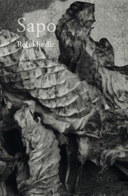 Sapo, Rob Hindle - Gebonden - 9781906175467