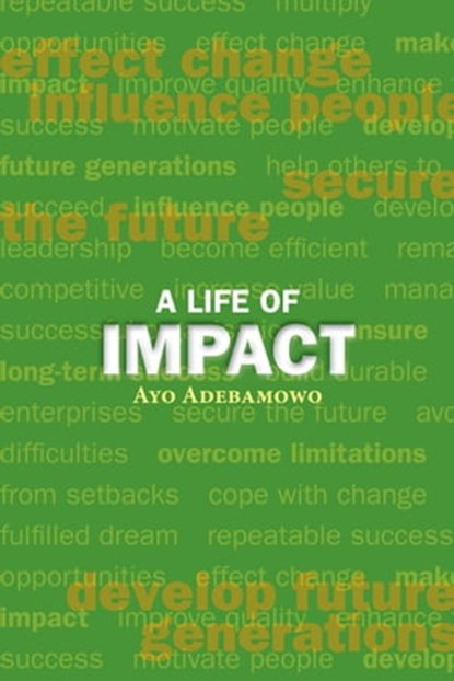 A Life of Impact, Ayo Adebamowo - Ebook - 9781906192488