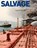 Salvage, TEW,  Ian - Gebonden - 9781906266004