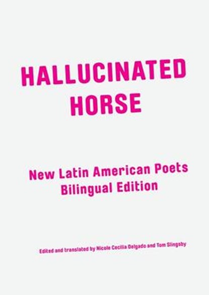 Hallucinated Horse, Felipe Garcia Qunitero ; Rosa Chavez ; Luis Alberto Bravo ; Nicole Cecilia Dellgado - Paperback - 9781906309220