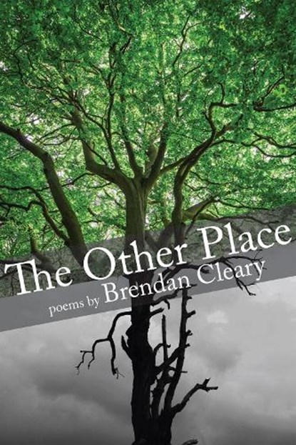 The Other Place, Brendan Cleary - Paperback - 9781906309534
