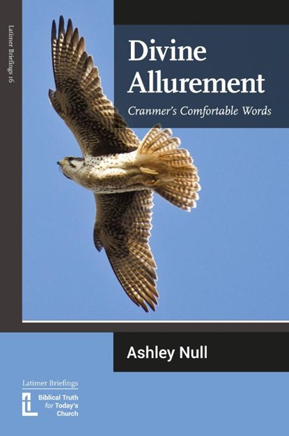 Divine Allurement, Ashley J Null - Paperback - 9781906327231