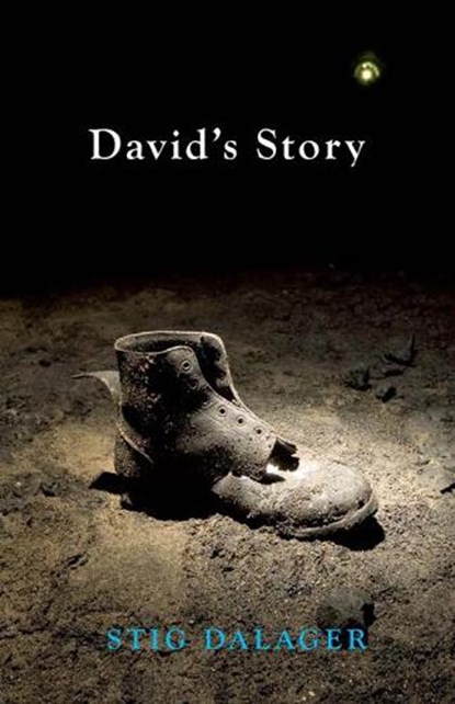David's Story, Stig Dalager - Paperback - 9781906582043