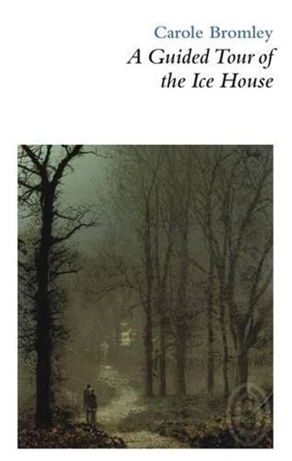 A Guided Tour of the Ice House, Carole Bromley - Paperback - 9781906613310