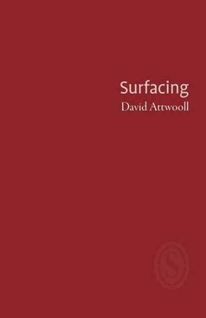 Surfacing, ATTWOOLL,  David - Overig - 9781906613914