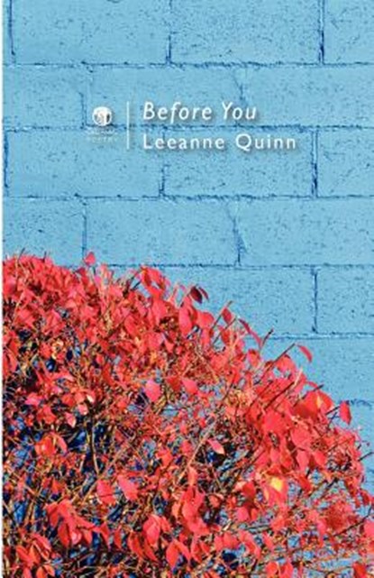 Before You, Leeanne Quinn - Paperback - 9781906614485