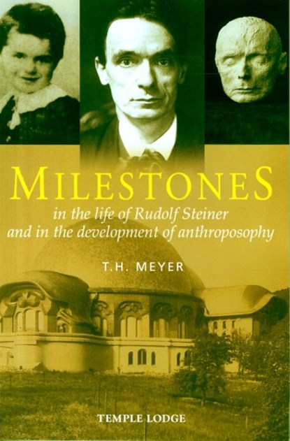 Milestones, T. H. Meyer - Paperback - 9781906999827