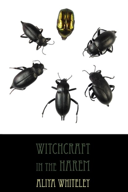 Witchcraft in the Harem, Aliya Whiteley - Paperback - 9781907133404