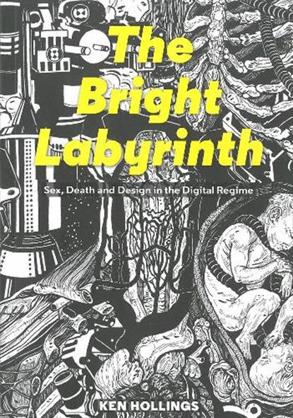 Bright Labyrinth, Ken Hollings - Paperback - 9781907222184