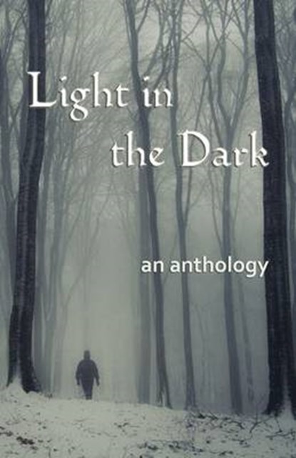 Light in the Dark, Sarah Bakewell; Ruth Cowling; Tracy Davidson - Overig - 9781907335372