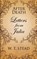 After Death, William T Stead - Paperback - 9781907355899