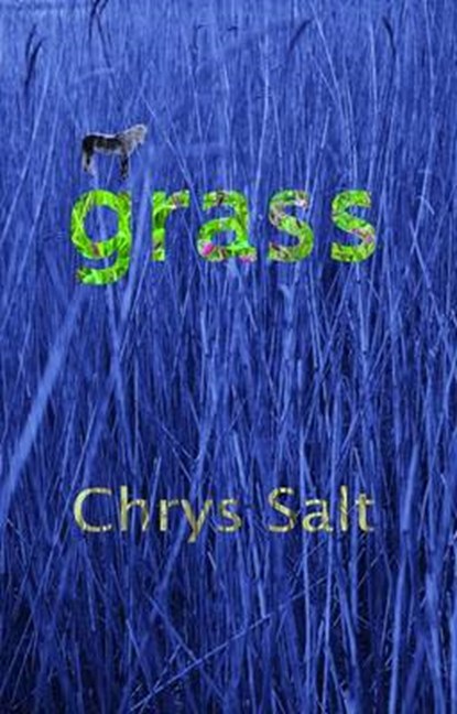 Grass, Chrys Salt - Paperback - 9781907401855