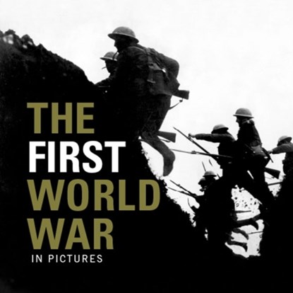 The First World War, A Ammonite - Paperback - 9781907708886