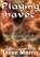 Playing Havoc, MORRIS,  Steve - Paperback - 9781907728433