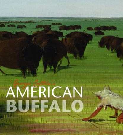 GEORGE CATLINS AMER BUFFALO, Adam Duncan Harris - Gebonden - 9781907804328