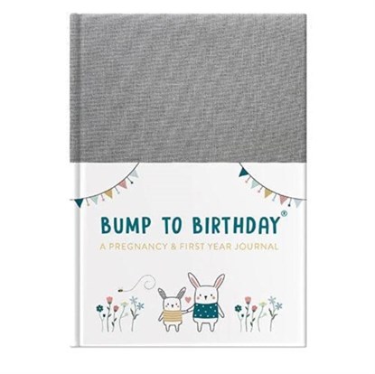Bump to Birthday, Helen Stephens - Gebonden - 9781907860942