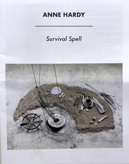 Survival Spell, Anne Hardy - Paperback - 9781907908873