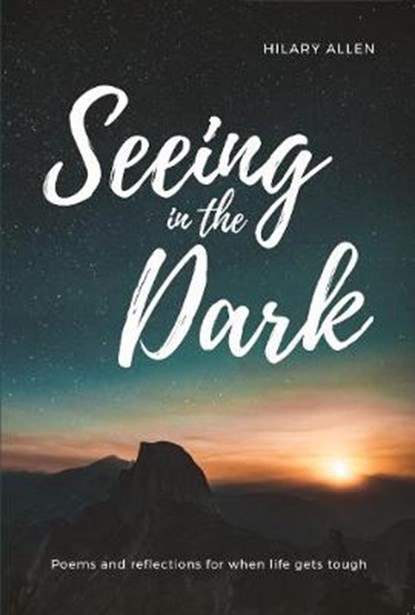 Seeing in the Dark, Hilary Allen - Paperback - 9781907929649
