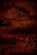 The Wolves of Langabhat, D a Watson - Paperback - 9781907954450