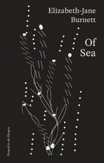 Of Sea, Elizabeth-Jane Burnett - Paperback - 9781908058829