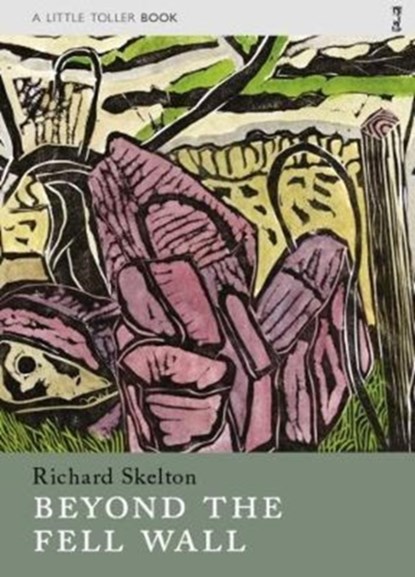 Beyond the Fell Wall, Richard Skelton - Paperback - 9781908213587