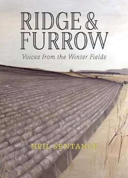 Ridge and Furrow, Neil Sentance - Paperback - 9781908213655