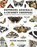Emperors, Admirals and Chimney-Sweepers, Peter Marren - Paperback - 9781908213822