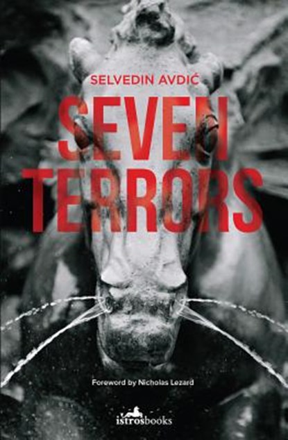 Seven Terrors, Selvedin Avdic - Paperback - 9781908236364