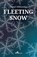 Fleeting Snow, Pavel Vilikovsky - Paperback - 9781908236371