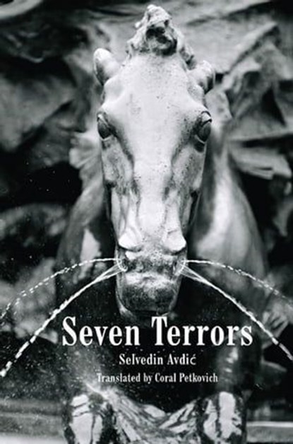 Seven Terrors, Selvedin Avdić - Ebook - 9781908236500