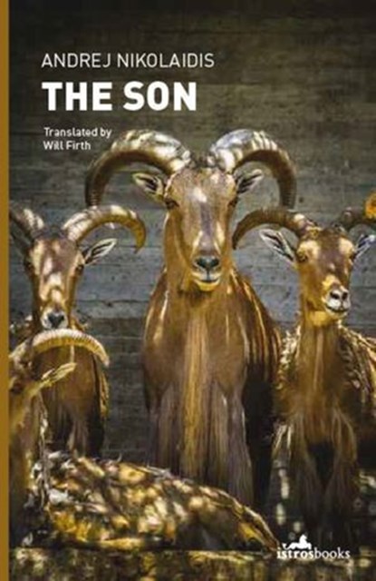 The Son, Andrej Nikolaidis - Ebook - 9781908236524