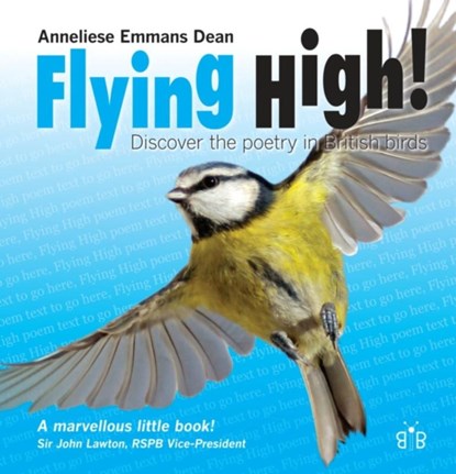 Flying High, Anneliese Emmans Dean - Paperback - 9781908241504