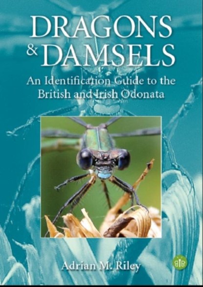 Dragons and Damsels, Adrian Riley - Paperback - 9781908241641