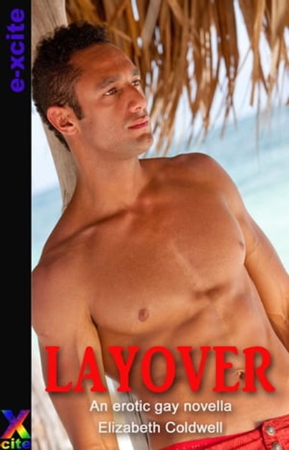 Layover, Elizabeth Coldwell - Ebook - 9781908262455