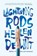 Lightning Rods, Helen DeWitt - Paperback - 9781908276292