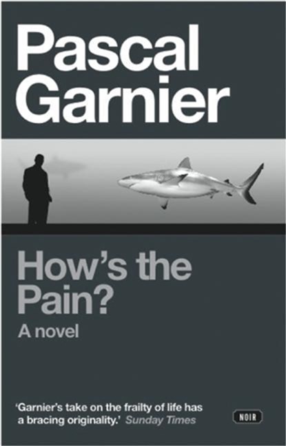 How's the Pain?, Pascal Garnier - Paperback - 9781908313034
