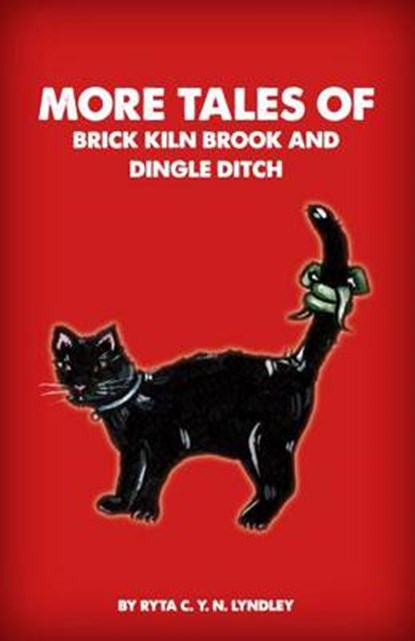 More Tales of Brick Kiln Brook and Dingle Ditch, Ryta Lyndley - Paperback - 9781908342027