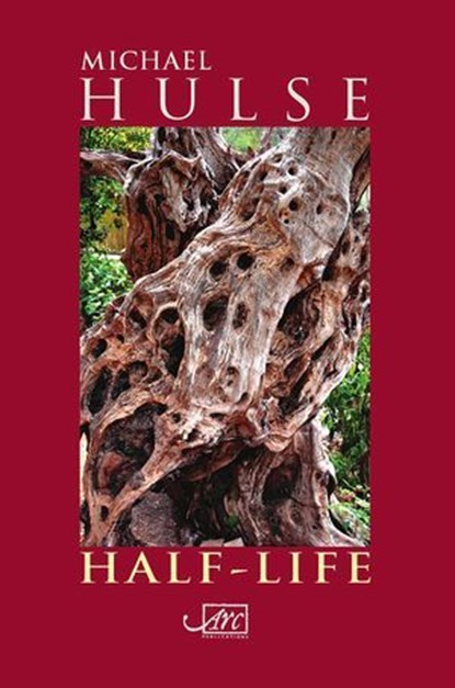 Half-Life, Michael Hulse - Ebook - 9781908376213
