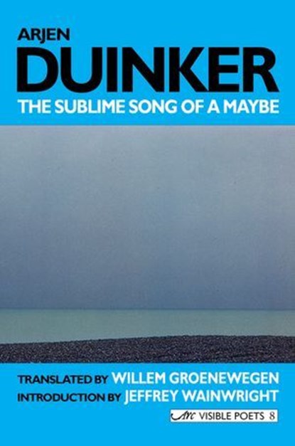 The Sublime Song of a Maybe: Selected Poems, Arjen Duinker - Ebook - 9781908376565