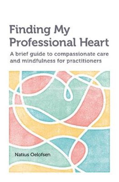 Finding my Professional Heart, Natius Oelofsen - Paperback - 9781908625403