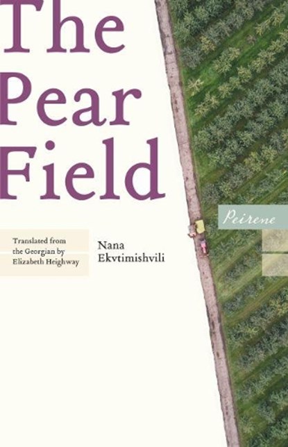 The Pear Field, Nana Ekvtimishvili - Paperback - 9781908670601