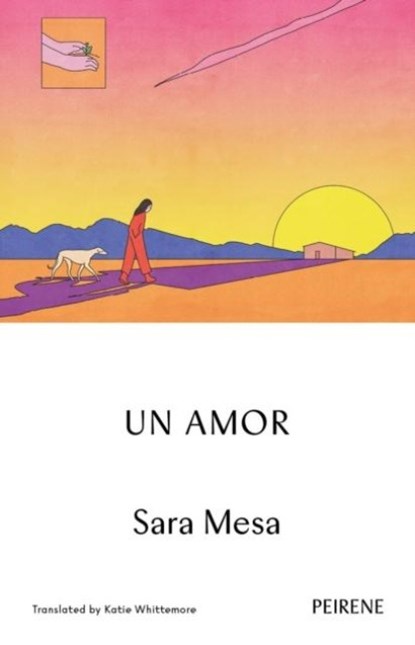 Un Amor, Sara Mesa - Paperback - 9781908670977