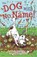 The Dog with No Name!, Neil Griffiths - Paperback - 9781908702241