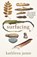 Surfacing, Kathleen Jamie - Paperback - 9781908745828