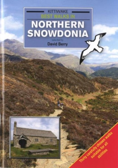 Best Walks in Northern Snowdonia, David Berry - Paperback - 9781908748256