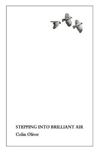 Stepping Into Brilliant Air, OLIVER,  Colin - Paperback - 9781908774767