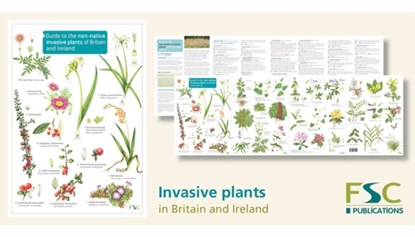 Guide to the non-native invasive plants of Britain and Ireland, Rebecca Farley-Brown - Paperback - 9781908819499
